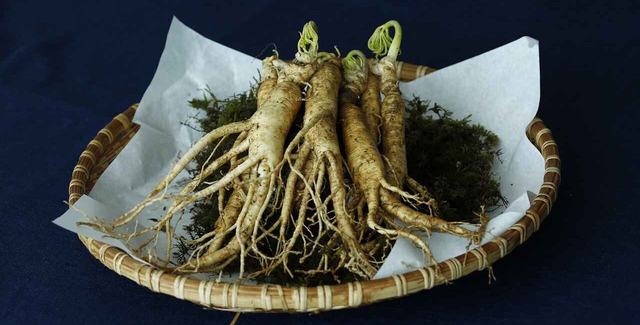 ginseng-whaltns17