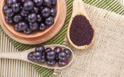 bacche di acai controindicazioni