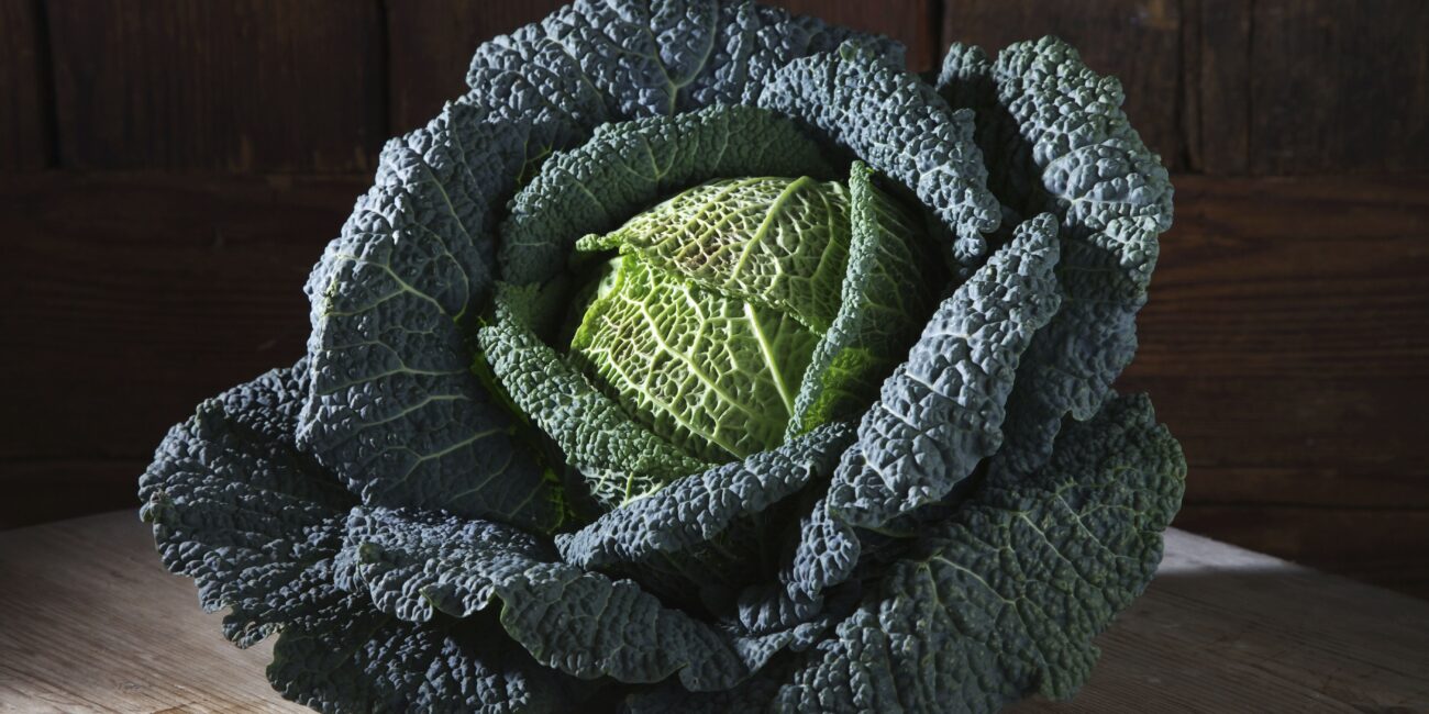 Cavolo nero, tutti i benefici