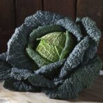 cavolo nero