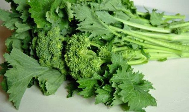 come conservara le cime di rapa