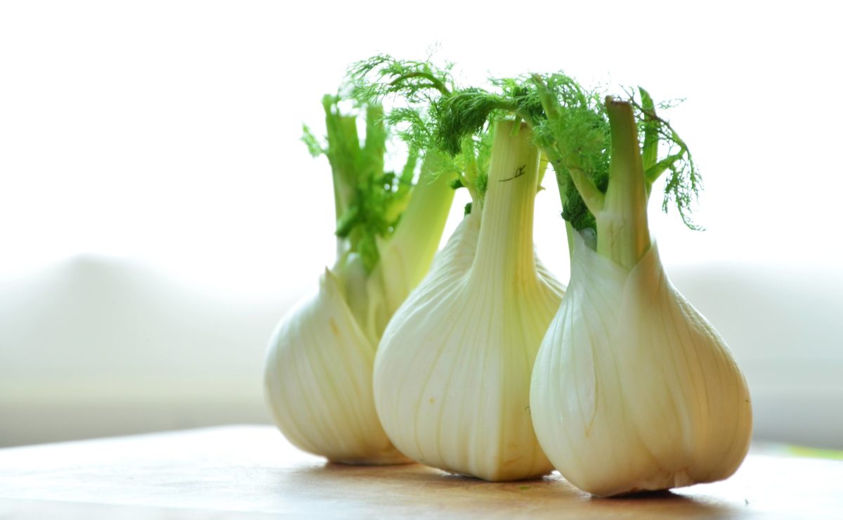 come usare la barba del finocchio