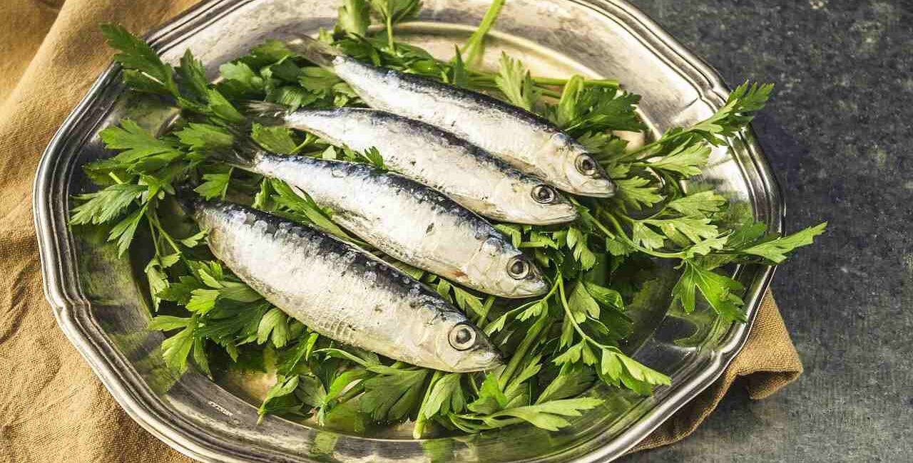 dieta-delle-sardine