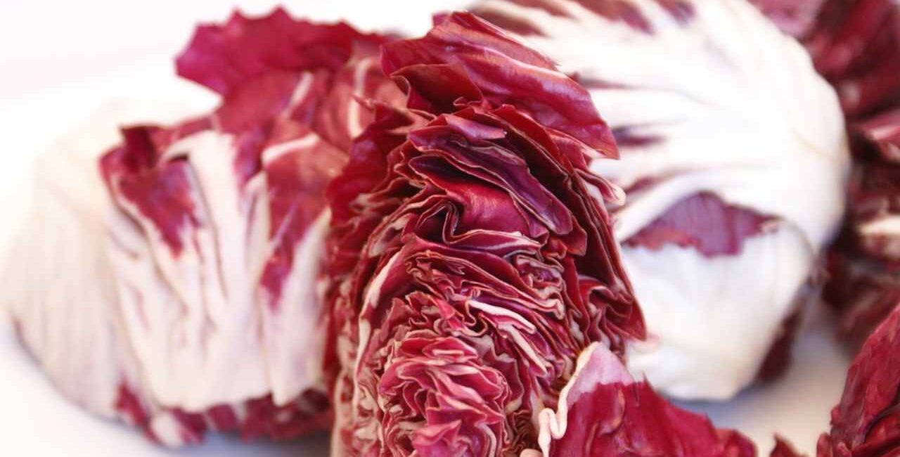 risotto al radicchio Lebensmittelfotos