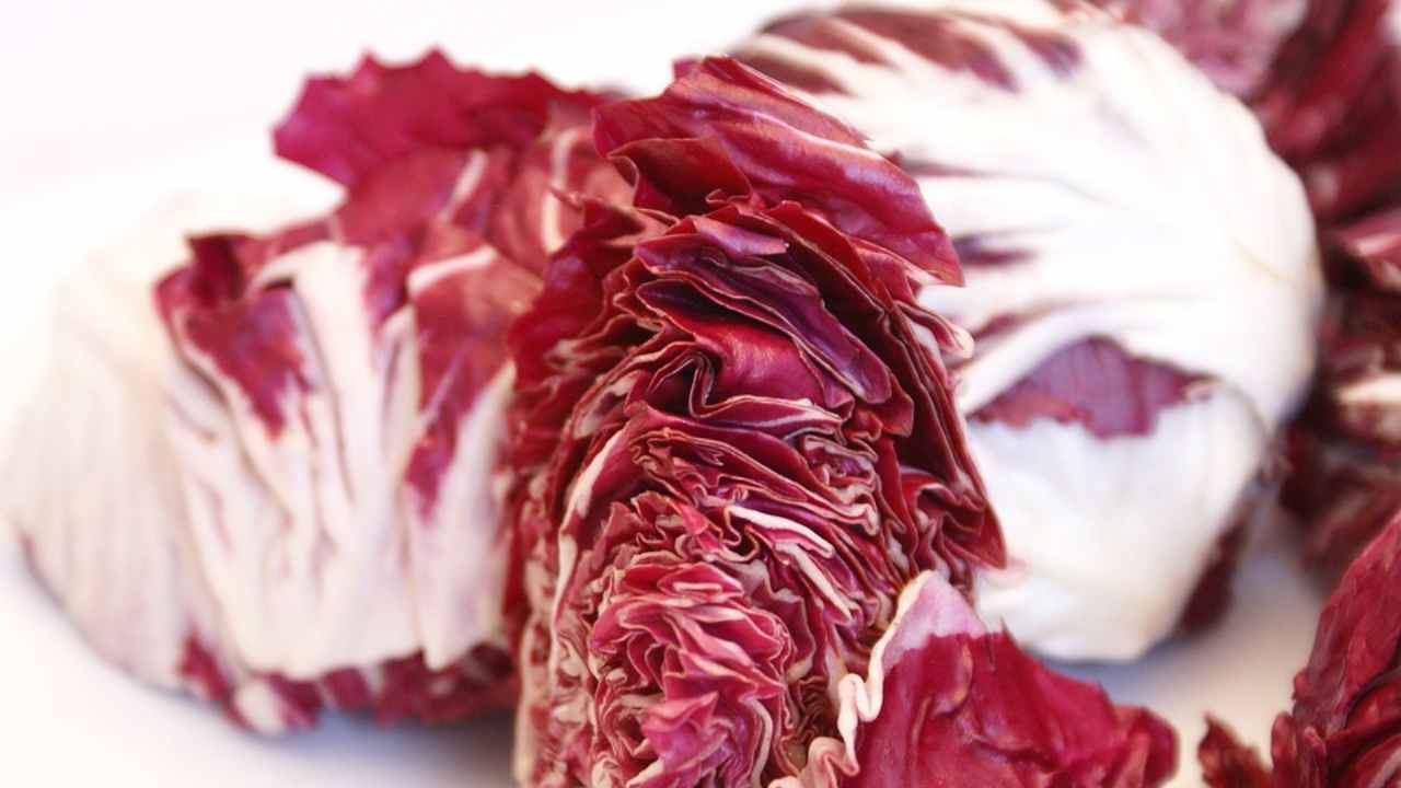 risotto al radicchio Lebensmittelfotos